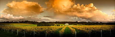 Fraser Gallop Estate - QLD Tourism 0