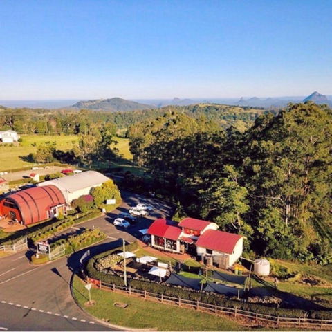 Live Foods Cafe - Queensland Tourism 0