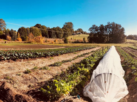 Synchronicity Farm - QLD Tourism 0