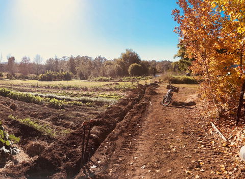 Synchronicity Farm - QLD Tourism 1