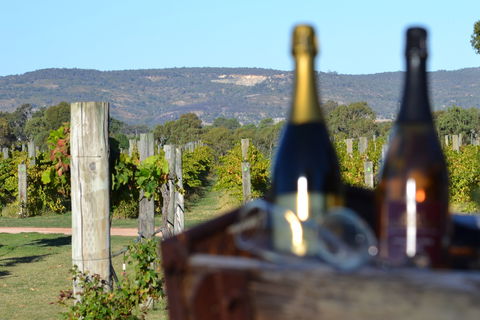 Ugly Duckling Wines - Queensland Tourism 1