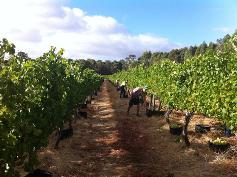 Ashbrook Estate - Queensland Tourism 1