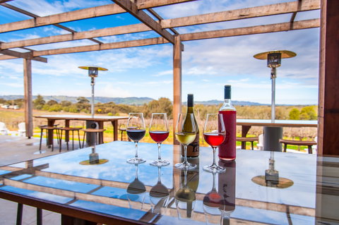 David Franz - Queensland Tourism 2