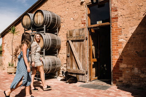 Shingleback Wine - QLD Tourism 1