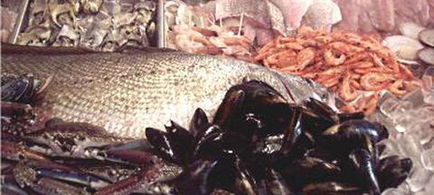Lifeboat Seafood - QLD Tourism 1