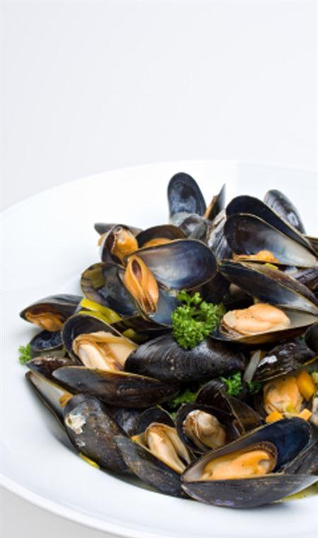 Lifeboat Seafood - QLD Tourism 4