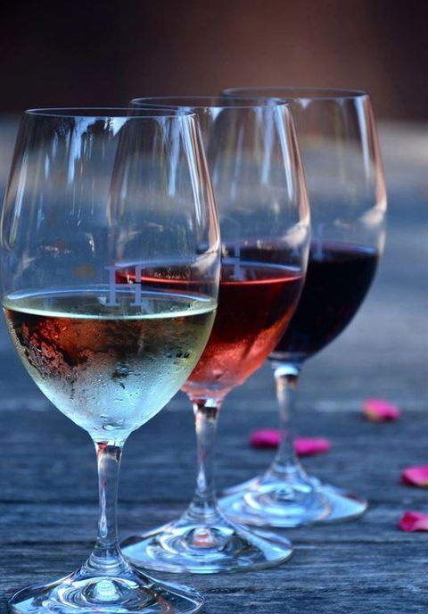Vines Restaurant At Hollydene Estate - Queensland Tourism 8