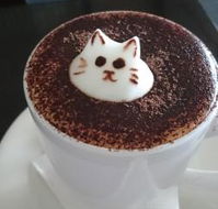 Cafe 2340 - QLD Tourism