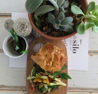Cafe Silo