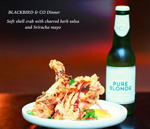 Blackbird & Co - QLD Tourism 11