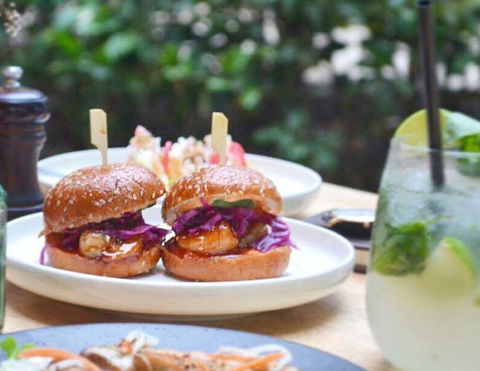 Blackbird & Co - QLD Tourism 21