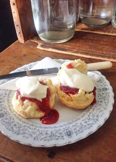 The Dove Cafe - QLD Tourism 8