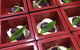 Zen Japanese Restaurant - thumb 0
