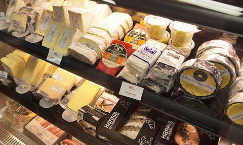 Wild Saffron - QLD Tourism 7