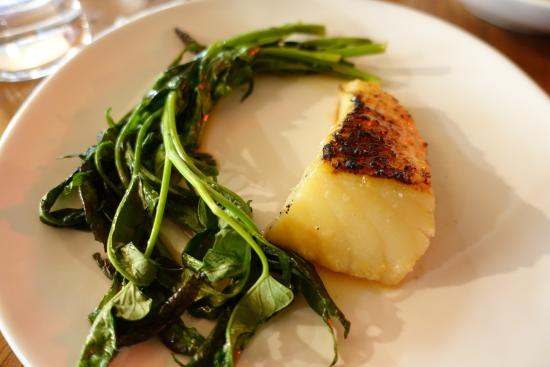 Surry Hills NSW Queensland Tourism