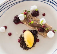 Wild Herring