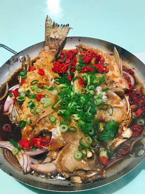 Chilli Panda - QLD Tourism 5