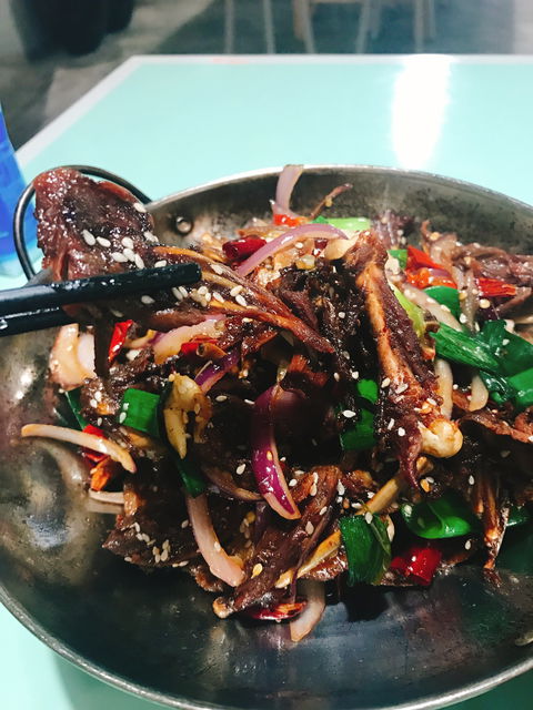 Chilli Panda - QLD Tourism 6
