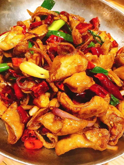 Chilli Panda - QLD Tourism 8