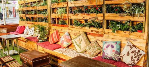 Livingstone's Urban Jungle - QLD Tourism 6