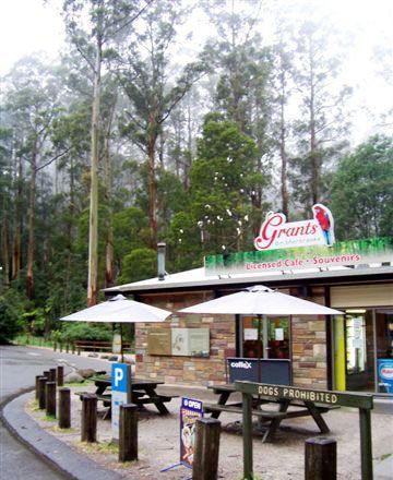 Kangaroo Island Fresh Seafoods And Takeaway - QLD Tourism 5