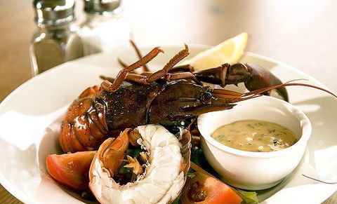 Marron Cafe - Queensland Tourism 5