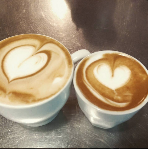 OP 81 Café - QLD Tourism 4