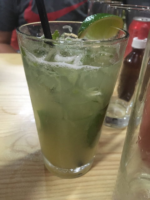 Cactus - Queensland Tourism 2