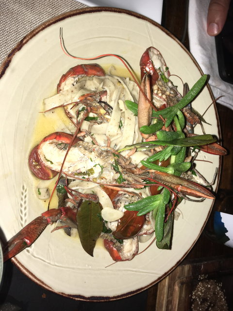 Ochre Restaurant & Catering - QLD Tourism 10