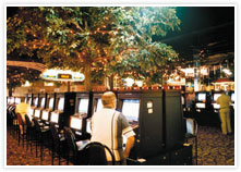 Mount Isa Irish Club - Queensland Tourism 3