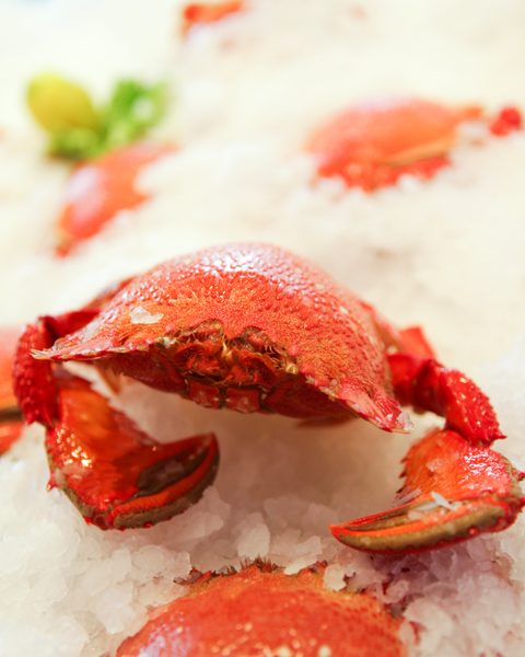 Point Cartwright Seafood Market - Queensland Tourism 2