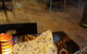 Magic Of India Restaurant - thumb 3