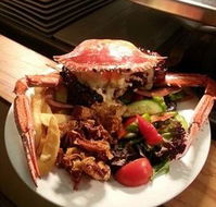 Safari Club Bar  Grill - QLD Tourism