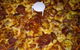 Pizza Riviera - thumb 0