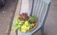The Coast Cafe - thumb 1