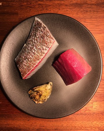 Yellowtail - QLD Tourism 0