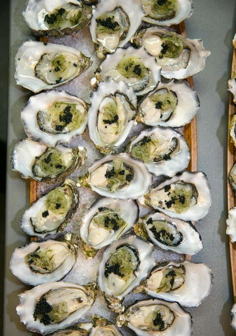 Marcellina's - QLD Tourism 11