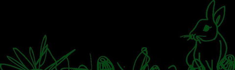 Marcellina's - QLD Tourism 17