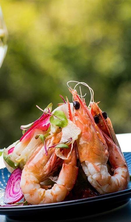 Marcellina's - QLD Tourism 4