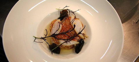 The Peak Restaurant At Spicers Peak Lodge - Queensland Tourism 1