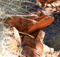 Under A Desert Moon - Queensland Tourism