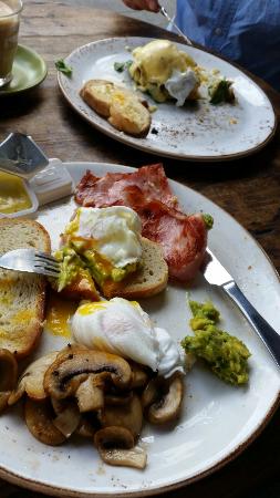 Il Cibo - QLD Tourism 0