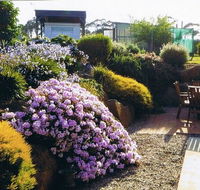 Pipers River Tea House and Crafts - Queensland Tourism