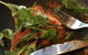 Public House Kitchen & Bar - thumb 10