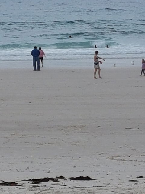 Sweet-Ness At The Sea - Queensland Tourism 1