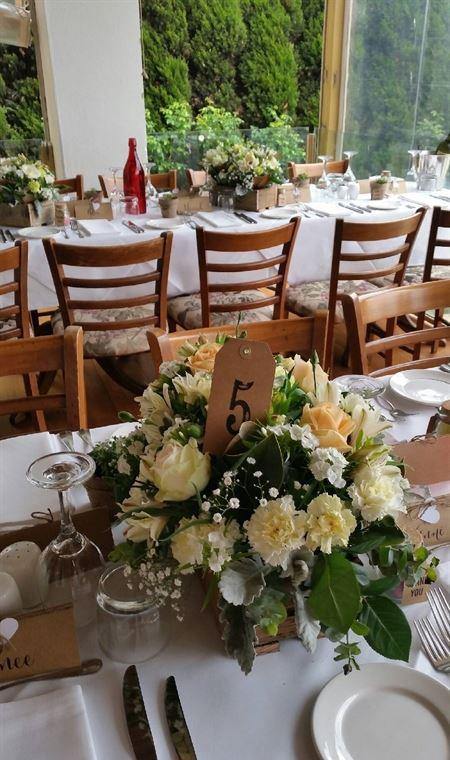 Morning Star Estate Venue - Queensland Tourism 12