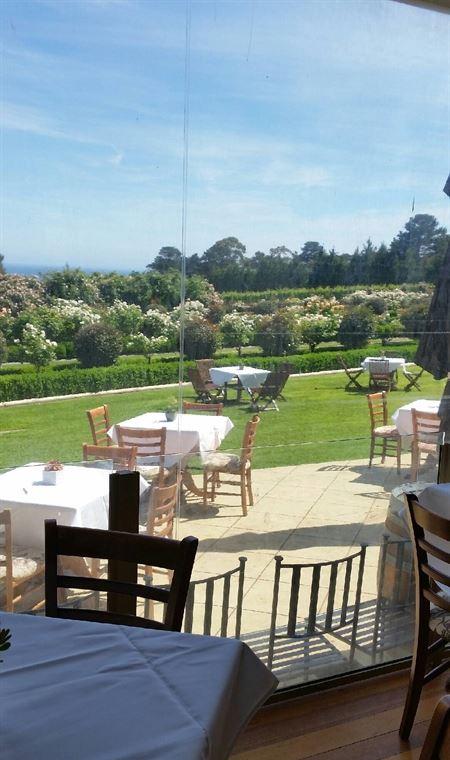 Morning Star Estate Venue - Queensland Tourism 13