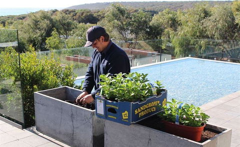 Other Side Of The Moon Restaurant - QLD Tourism 5