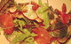 The Dining Haul - thumb 1