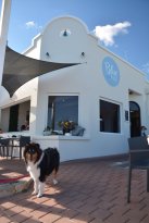 Blue Vue Cafe - QLD Tourism 6